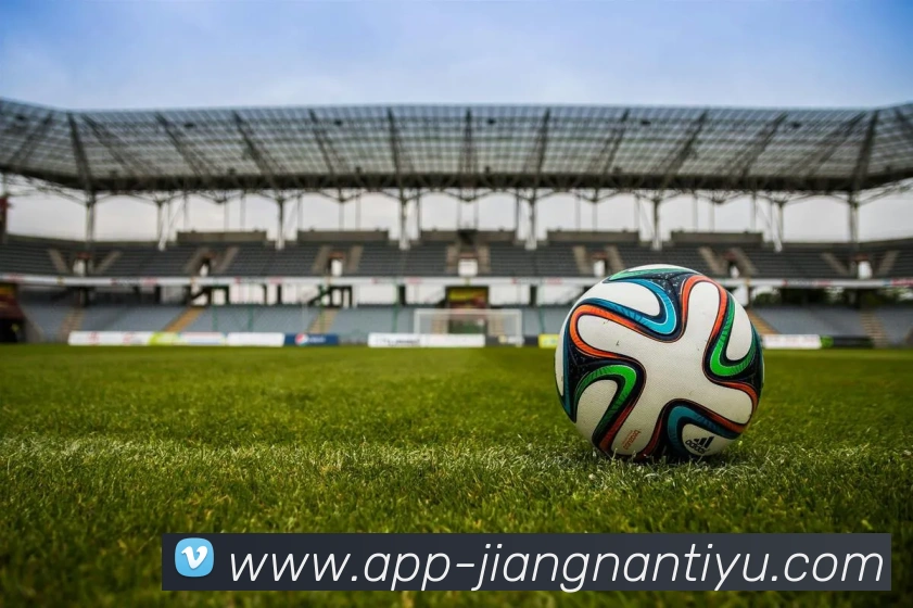 App Interface Preview